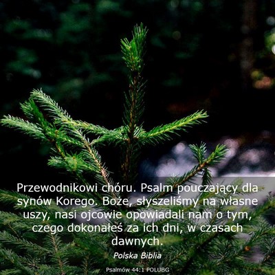Picture 03 - Psalmów 44:1 POLUBG - Przewodnikowi chóru. Psalm pouczający dla - Bible Verse Picture