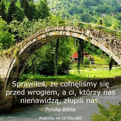 Picture 03 - Psalmów 44:10 POLUBG - Sprawiłeś, że cofnęliśmy się przed wrogiem, - Bible Verse Picture