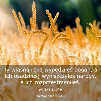 Picture 03 - Psalmów 44:2 POLUBG - Ty własną ręką wypędziłeś pogan, a ich - Bible Verse Picture