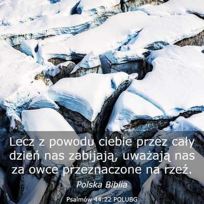 Picture 03 - Psalmów 44:22 POLUBG - Lecz z powodu ciebie przez cały dzień nas - Bible Verse Picture