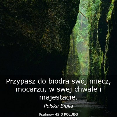 Picture 03 - Psalmów 45:3 POLUBG - Przypasz do biodra swój miecz, mocarzu, w swej - Bible Verse Picture