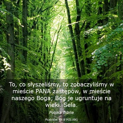 Picture 03 - Psalmów 48:8 POLUBG - To, co słyszeliśmy, to zobaczyliśmy w mieście - Bible Verse Picture