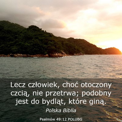 Picture 03 - Psalmów 49:12 POLUBG - Lecz człowiek, choć otoczony czcią, nie - Bible Verse Picture