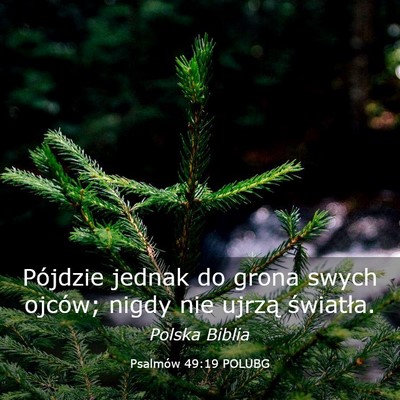 Picture 03 - Psalmów 49:19 POLUBG - Pójdzie jednak do grona swych ojców; nigdy nie - Bible Verse Picture