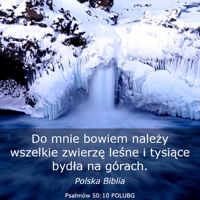Picture 03 - Psalmów 50:10 POLUBG - Do mnie bowiem należy wszelkie zwierzę leśne i - Bible Verse Picture