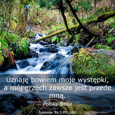 Picture 03 - Psalmów 51:3 POLUBG - Uznaję bowiem moje występki, a mój grzech - Bible Verse Picture
