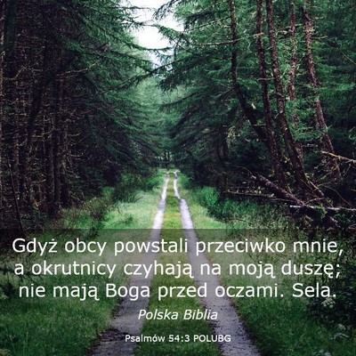 Picture 03 - Psalmów 54:3 POLUBG - Gdyż obcy powstali przeciwko mnie, a okrutnicy - Bible Verse Picture
