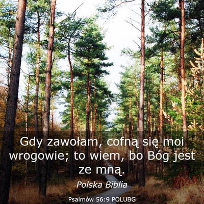 Picture 03 - Psalmów 56:9 POLUBG - Gdy zawołam, cofną się moi wrogowie; to wiem, - Bible Verse Picture