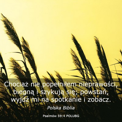 Picture 03 - Psalmów 59:4 POLUBG - Chociaż nie popełniłem nieprawości, biegną i - Bible Verse Picture