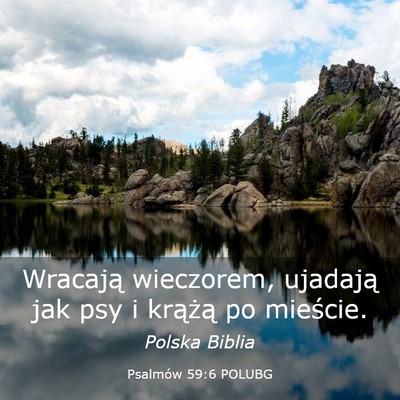Picture 03 - Psalmów 59:6 POLUBG - Wracają wieczorem, ujadają jak psy i krążą - Bible Verse Picture