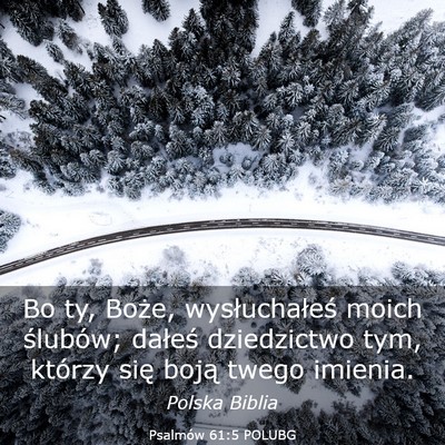 Picture 03 - Psalmów 61:5 POLUBG - Bo ty, Boże, wysłuchałeś moich ślubów; - Bible Verse Picture