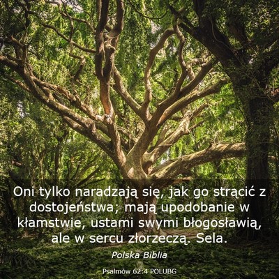 Picture 03 - Psalmów 62:4 POLUBG - Oni tylko naradzają się, jak go strącić z - Bible Verse Picture