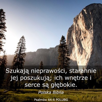 Picture 03 - Psalmów 64:6 POLUBG - Szukają nieprawości, starannie jej poszukują; - Bible Verse Picture