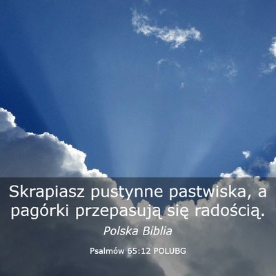 Picture 03 - Psalmów 65:12 POLUBG - Skrapiasz pustynne pastwiska, a pagórki - Bible Verse Picture