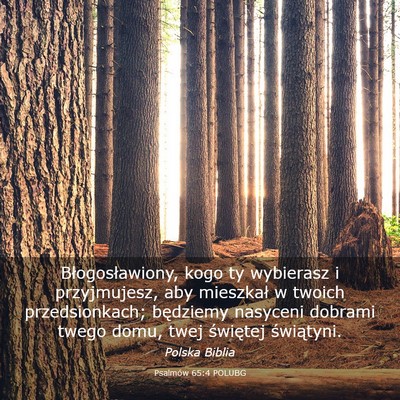 Picture 03 - Psalmów 65:4 POLUBG - Błogosławiony, kogo ty wybierasz i przyjmujesz, - Bible Verse Picture