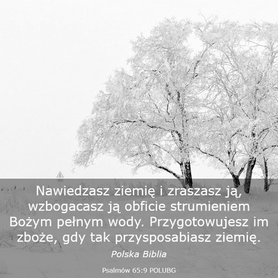 Picture 03 - Psalmów 65:9 POLUBG - Nawiedzasz ziemię i zraszasz ją, wzbogacasz ją - Bible Verse Picture