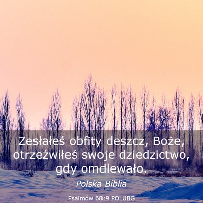 Picture 03 - Psalmów 68:9 POLUBG - Zesłałeś obfity deszcz, Boże, otrzeźwiłeś - Bible Verse Picture