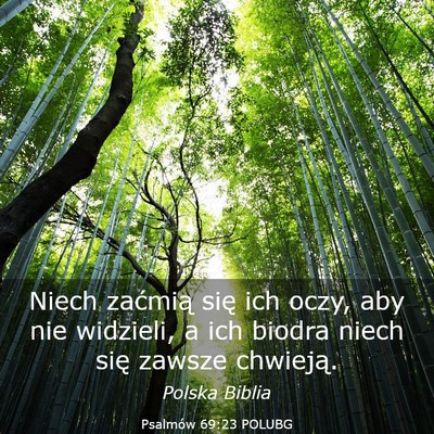 Picture 03 - Psalmów 69:23 POLUBG - Niech zaćmią się ich oczy, aby nie widzieli, a - Bible Verse Picture