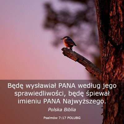 Picture 03 - Psalmów 7:17 POLUBG - Będę wysławiał PANA według jego - Bible Verse Picture