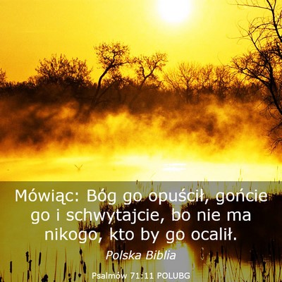 Picture 03 - Psalmów 71:11 POLUBG - Mówiąc: Bóg go opuścił, gońcie go i - Bible Verse Picture