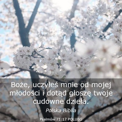 Picture 03 - Psalmów 71:17 POLUBG - Boże, uczyłeś mnie od mojej młodości i - Bible Verse Picture
