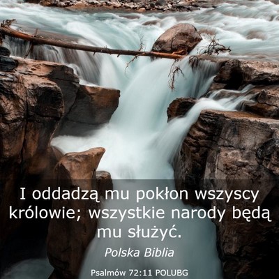 Picture 03 - Psalmów 72:11 POLUBG - I oddadzą mu pokłon wszyscy królowie; - Bible Verse Picture