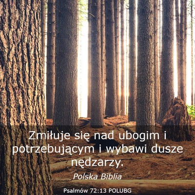 Picture 03 - Psalmów 72:13 POLUBG - Zmiłuje się nad ubogim i potrzebującym i - Bible Verse Picture