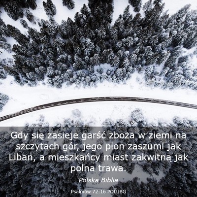 Picture 03 - Psalmów 72:16 POLUBG - Gdy się zasieje garść zboża w ziemi na - Bible Verse Picture