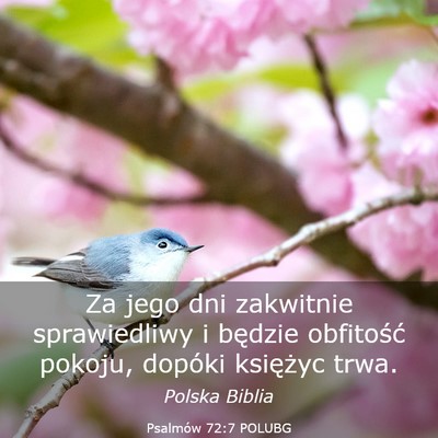 Picture 03 - Psalmów 72:7 POLUBG - Za jego dni zakwitnie sprawiedliwy i będzie - Bible Verse Picture