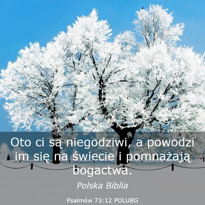 Picture 03 - Psalmów 73:12 POLUBG - Oto ci są niegodziwi, a powodzi im się na - Bible Verse Picture