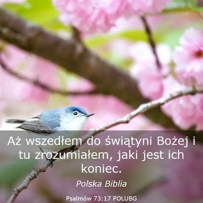 Picture 03 - Psalmów 73:17 POLUBG - Aż wszedłem do świątyni Bożej i tu - Bible Verse Picture