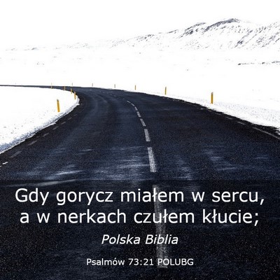 Picture 03 - Psalmów 73:21 POLUBG - Gdy gorycz miałem w sercu, a w nerkach czułem - Bible Verse Picture