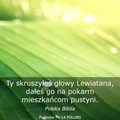 Picture 03 - Psalmów 74:14 POLUBG - Ty skruszyłeś głowy Lewiatana, dałeś go na - Bible Verse Picture