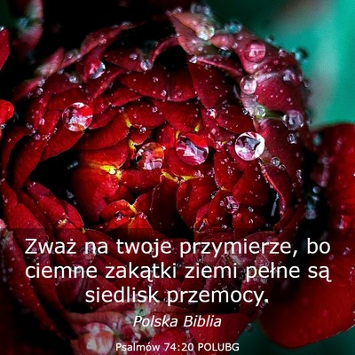 Picture 03 - Psalmów 74:20 POLUBG - Zważ na twoje przymierze, bo ciemne zakątki - Bible Verse Picture