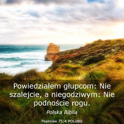 Picture 03 - Psalmów 75:4 POLUBG - Powiedziałem głupcom: Nie szalejcie, a - Bible Verse Picture