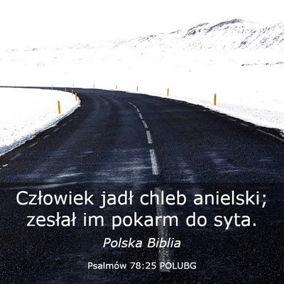 Picture 03 - Psalmów 78:25 POLUBG - Człowiek jadł chleb anielski; zesłał im - Bible Verse Picture