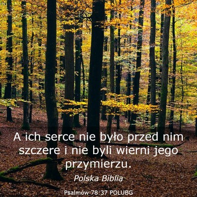 Picture 03 - Psalmów 78:37 POLUBG - A ich serce nie było przed nim szczere i nie - Bible Verse Picture