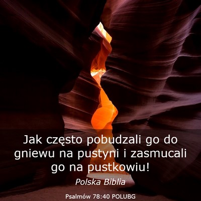 Picture 03 - Psalmów 78:40 POLUBG - Jak często pobudzali go do gniewu na pustyni i - Bible Verse Picture
