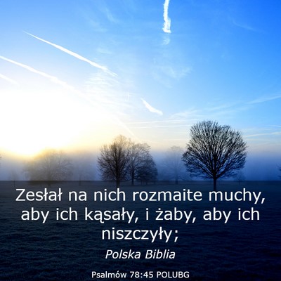 Picture 03 - Psalmów 78:45 POLUBG - Zesłał na nich rozmaite muchy, aby ich - Bible Verse Picture
