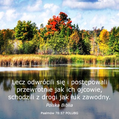 Picture 03 - Psalmów 78:57 POLUBG - Lecz odwrócili się i postępowali przewrotnie - Bible Verse Picture