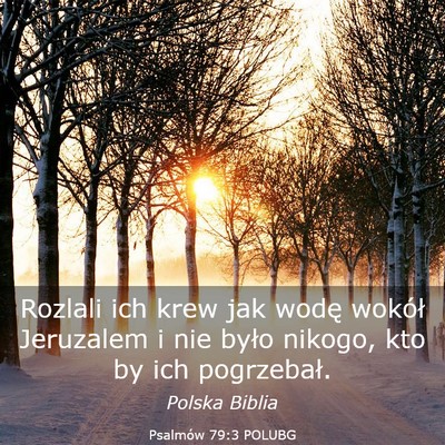 Picture 03 - Psalmów 79:3 POLUBG - Rozlali ich krew jak wodę wokół Jeruzalem i - Bible Verse Picture