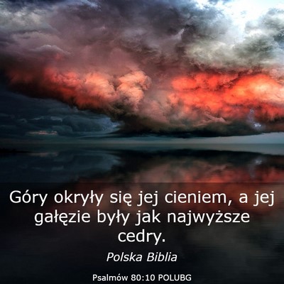 Picture 03 - Psalmów 80:10 POLUBG - Góry okryły się jej cieniem, a jej gałęzie - Bible Verse Picture