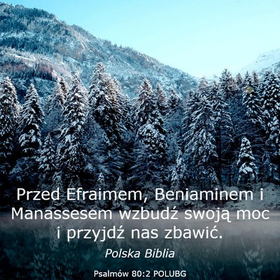 Picture 03 - Psalmów 80:2 POLUBG - Przed Efraimem, Beniaminem i Manassesem wzbudź - Bible Verse Picture