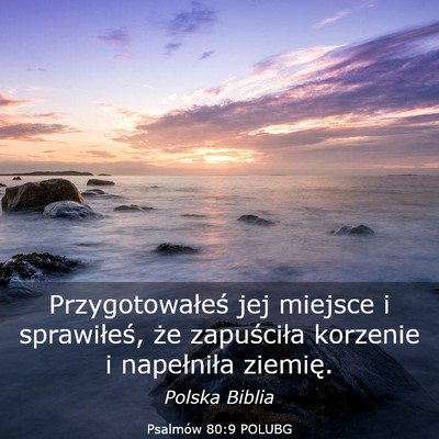 Picture 03 - Psalmów 80:9 POLUBG - Przygotowałeś jej miejsce i sprawiłeś, że - Bible Verse Picture