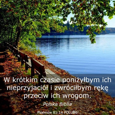 Picture 03 - Psalmów 81:14 POLUBG - W krótkim czasie poniżyłbym ich - Bible Verse Picture
