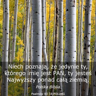Picture 03 - Psalmów 83:18 POLUBG - Niech poznają, że jedynie ty, którego imię - Bible Verse Picture
