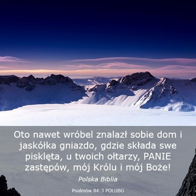 Picture 03 - Psalmów 84:3 POLUBG - Oto nawet wróbel znalazł sobie dom i jaskółka - Bible Verse Picture