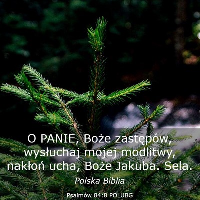 Picture 03 - Psalmów 84:8 POLUBG - O PANIE, Boże zastępów, wysłuchaj mojej - Bible Verse Picture
