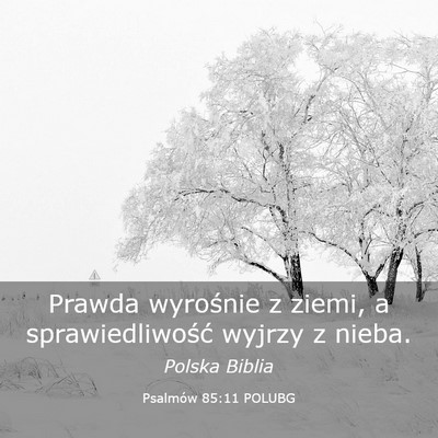 Picture 03 - Psalmów 85:11 POLUBG - Prawda wyrośnie z ziemi, a sprawiedliwość - Bible Verse Picture