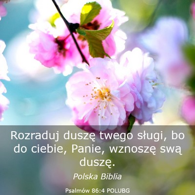 Picture 03 - Psalmów 86:4 POLUBG - Rozraduj duszę twego sługi, bo do ciebie, - Bible Verse Picture